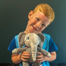 Load image into Gallery viewer, Memory Elephant