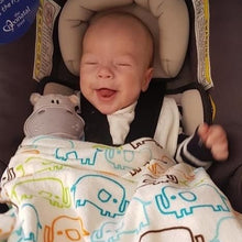 Load image into Gallery viewer, Snuggly Hippo