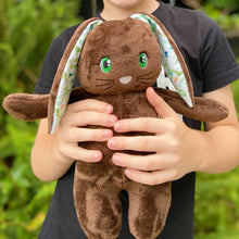 Load image into Gallery viewer, Benjamin Bunny