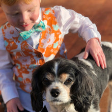 Load image into Gallery viewer, Boys double layer bow ties