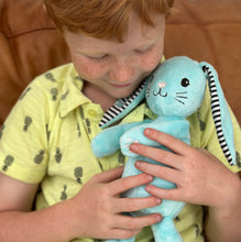 Load image into Gallery viewer, Cuddly Bunny
