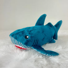 Load image into Gallery viewer, Great White Shark
