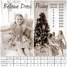 Load image into Gallery viewer, Limited Release: Christmas 2019 Bellevue Dress
